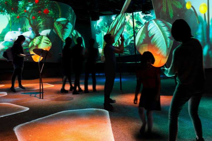 Garden Of Harmony 01