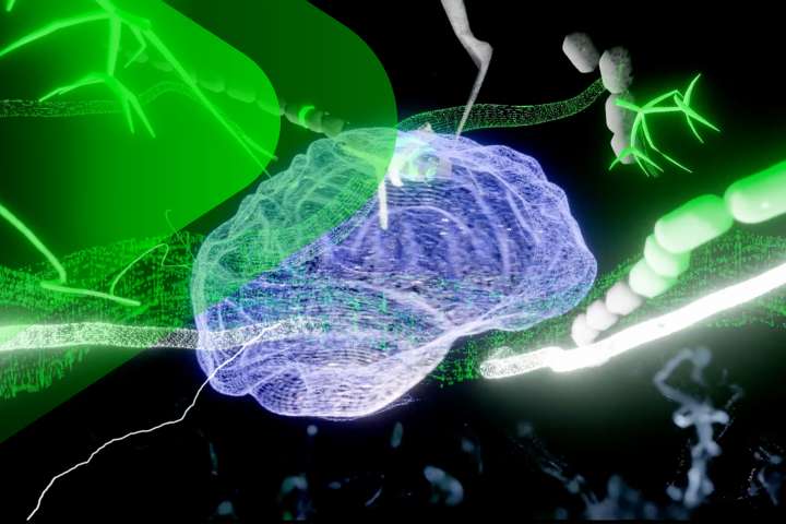 Emotionale Intelligence